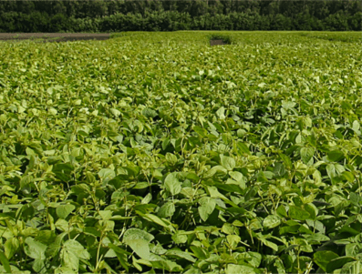 Screenshot 2014-08-27 23.44.38